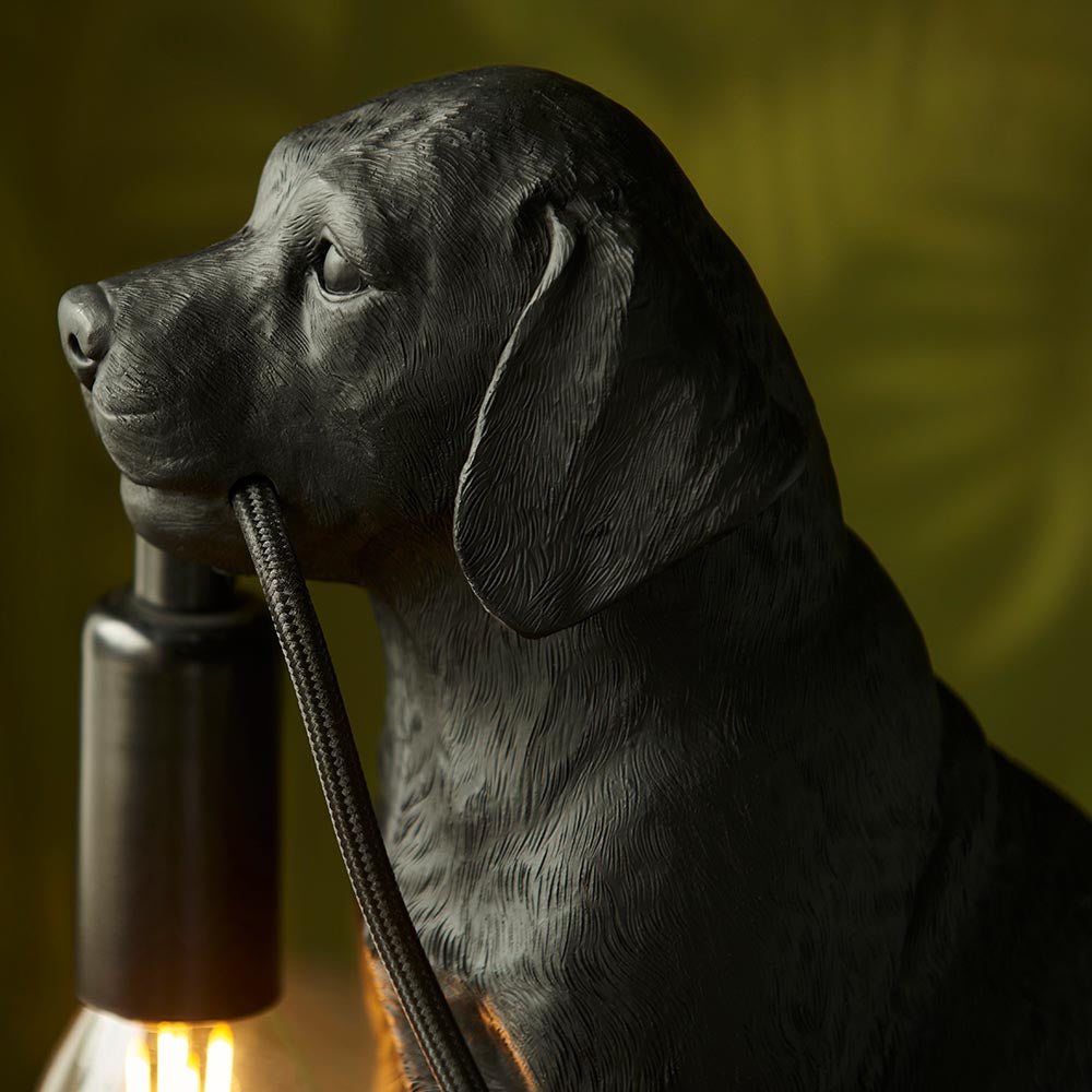 Endon Brockworth table lamp in matt black, close-up of the resin Labrador puppy holding an E14 filament bulb by its lamp holder against a green backdrop.