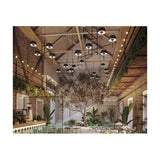 Bol S/6L 6 Light LED Chandelier