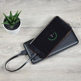 AV:Link 20cm flat USB Type-A to Type-C cable charging a black smartphone on a matching power bank beside a small potted aloe on a grey wood surface.