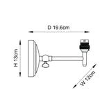 Endon Daneley wall light dimension diagram showing 19.6cm depth, 13cm height and 12cm width for the natural ash and brushed brass fitting.