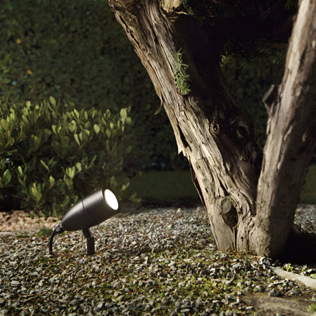 In a garden at night, the Radiata Outdoor Single Spotlight in black casts light upon the base of a small tree amidst gravel and plants. The weather-resistant fixture's adjustable design enhances the outdoor lighting, creating a warm and inviting atmosphere.