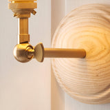 Close-up of the Endon Danemere wall light showing the brushed aged brass arm with adjustable knuckle mounted on a natural Ash wood backplate.