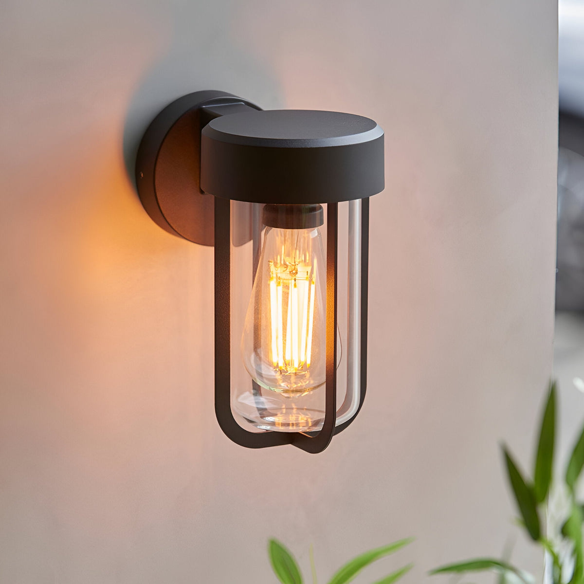 Caldwell Wall Light in matt black die-cast aluminium with a cylindrical glass shade, cage frame, and exposed E27 filament bulb.