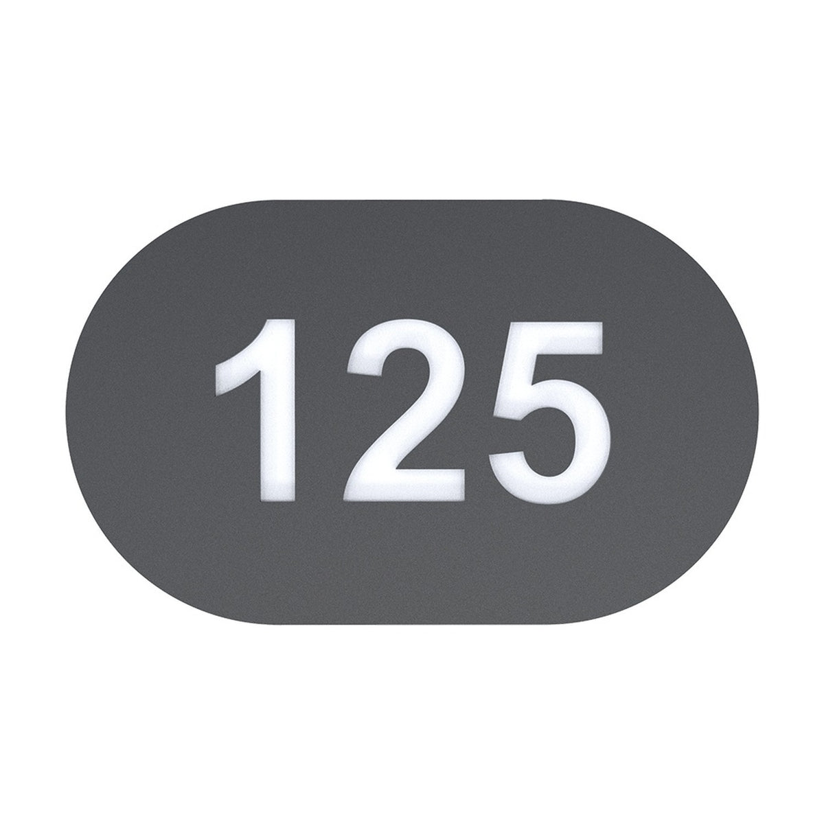 House number plaque "125" shown on an oval matt black backing plate with illuminated white numerals, photographed on a plain white background.