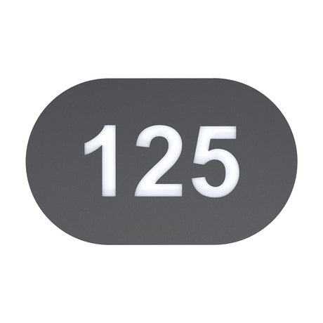 House number plaque "125" shown on an oval matt black backing plate with illuminated white numerals, photographed on a plain white background.
