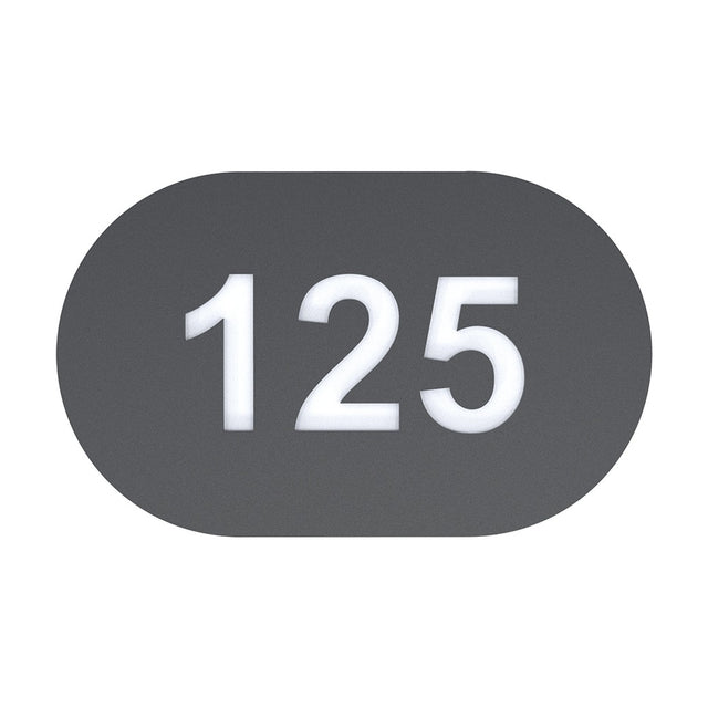 House number plaque "125" shown on an oval matt black backing plate with illuminated white numerals, photographed on a plain white background.