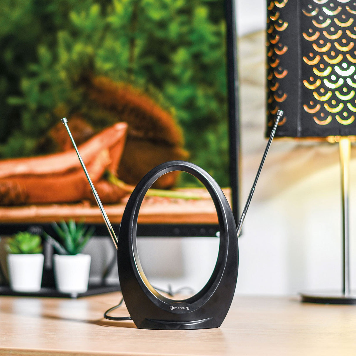 Mercury ST36P Loop Indoor HDTV Aerial with DAB