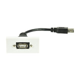 AV:Link USB 2.0 Type-A wall plate module in white with front USB-A socket and rear female tail lead, shown on a plain white background.
