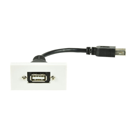 AV:Link USB 2.0 Type-A wall plate module in white with front USB-A socket and rear female tail lead, shown on a plain white background.