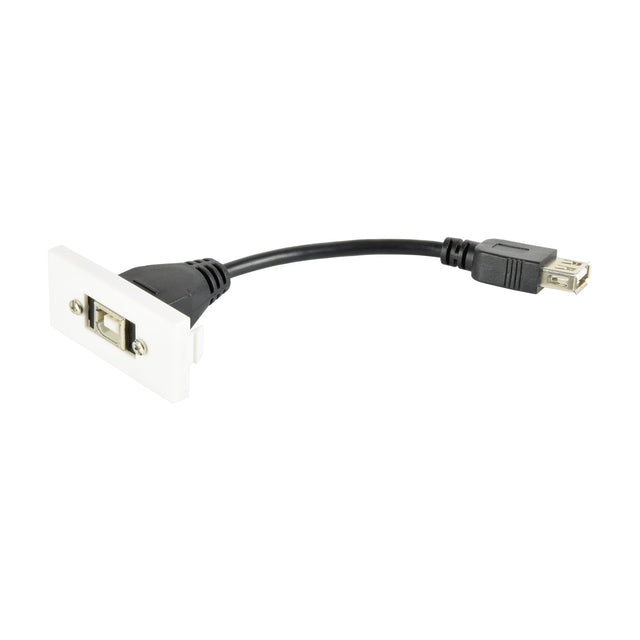 AV:Link white USB 2.0 wall plate module with front Type-B socket and short rear female Type-A tail cable on a plain background.
