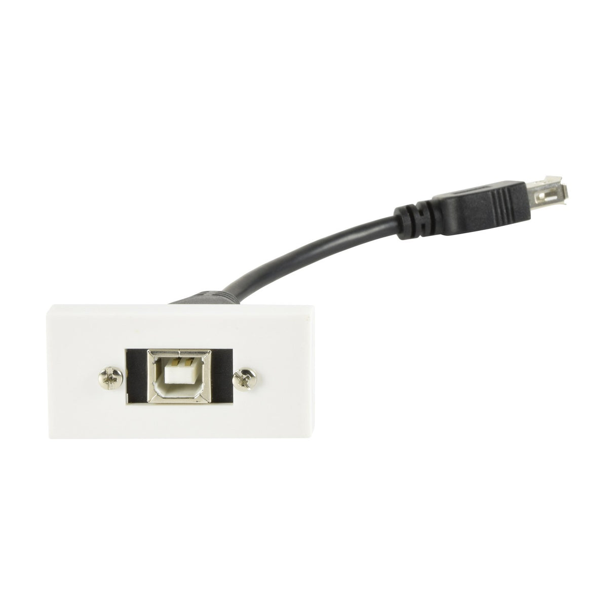 AV:Link USB Type-B to Type-A white wall plate module with front USB-B socket and short black Type-A tail cable on a plain background.