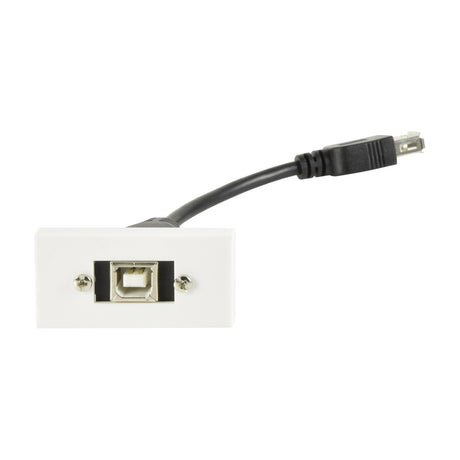 AV:Link USB Type-B to Type-A white wall plate module with front USB-B socket and short black Type-A tail cable on a plain background.