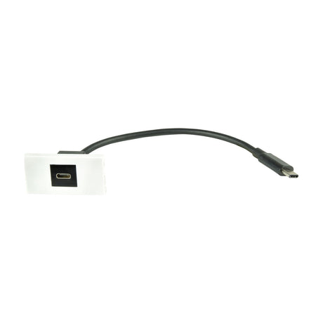 AV:Link USB-C wall plate module by AVSL with white flat faceplate, black USB Type-C socket insert and short male USB-C tail cable on a white background.