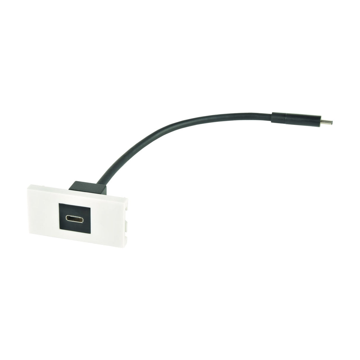 AV:Link USB-C wall plate module by AVSL with white flat faceplate, black USB Type-C socket insert and short black male USB-C tail, on a white background.