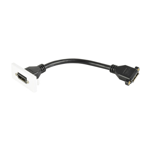 AV:Link DisplayPort female tail wall plate module with white clip-in faceplate and short black DisplayPort cable, on a plain white background.