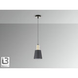 Gisela 1 Light Pendant - Matte Black/Satin Brass