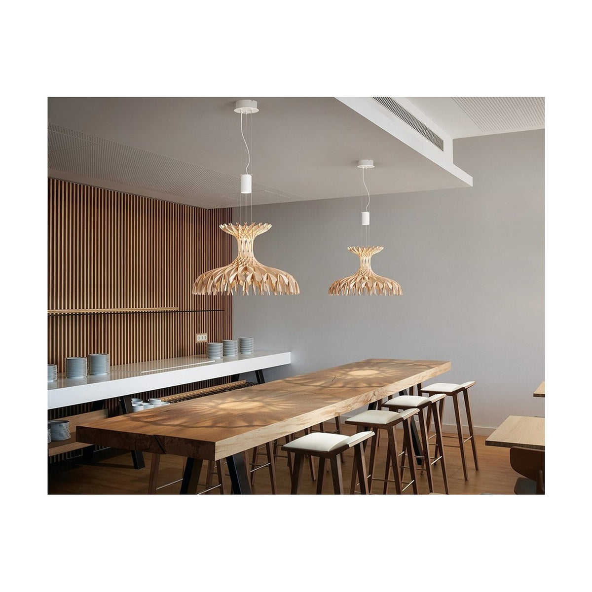 Dome 60/01 Wood LED Pendant Light - Matt White & Natural Wood