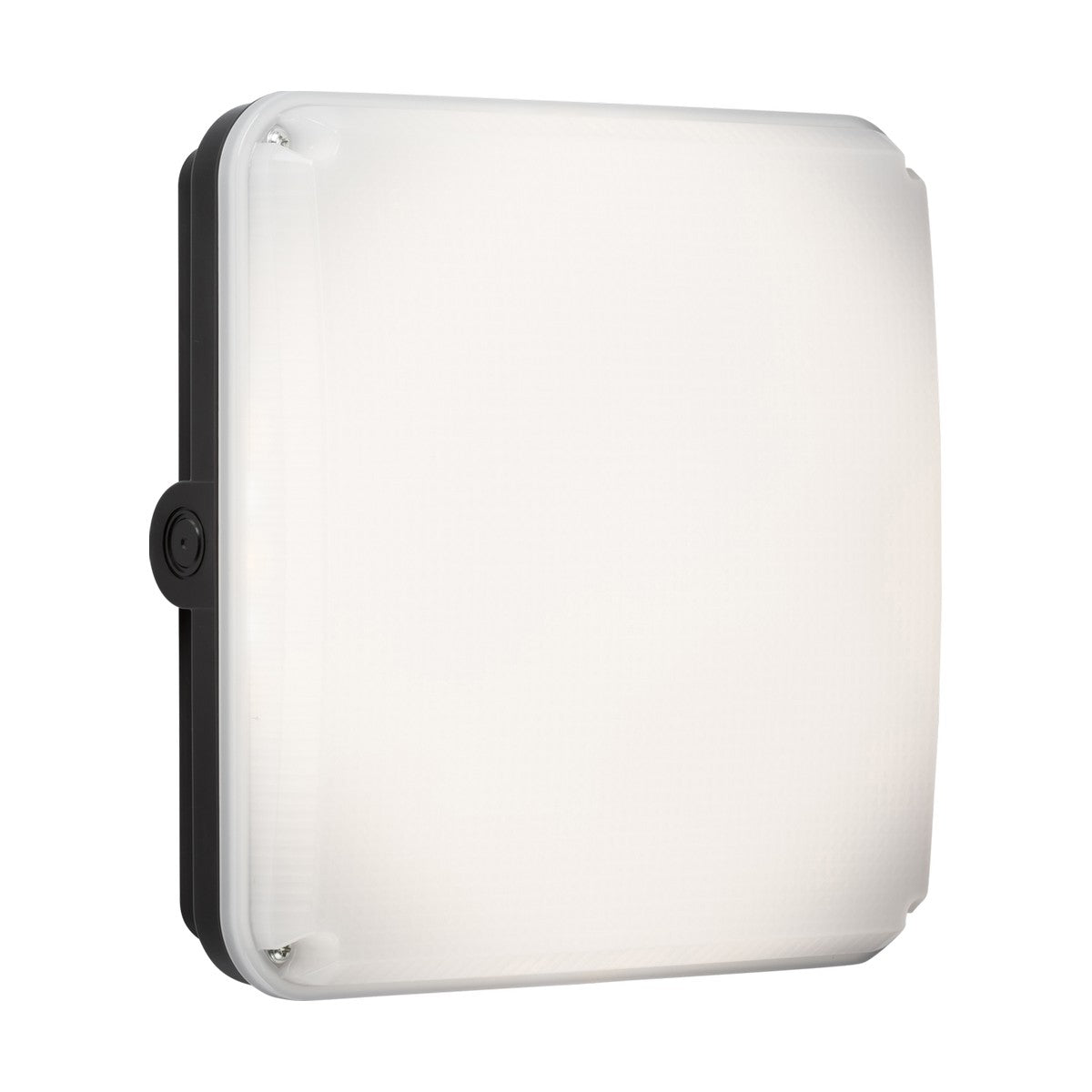 The TENAX One Square Bulkhead Casing - Black is a white LED light fixture in a square shape, accented with a black border, and crafted from durable polycarbonate. It features a smooth frosted surface. Its simple, modern design is sleek and weatherproof with an IP65 rating, making it suitable for both indoor and outdoor use.