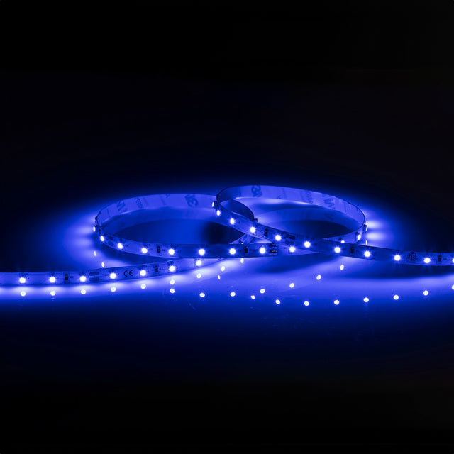 A close-up of two 24V Blue LED Strip Lights, each 5 meters long and dimmable, glowing with a vibrant blue color. They're arranged in a loose spiral on a dark background, with even spacing that creates a bright, luminous effect.
