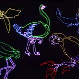 Citronic Animate Smart RGB laser by AVSL projecting neon outlines of a bat, flamingo, parrot and dove in yellow, green, blue and red on a black backdrop.