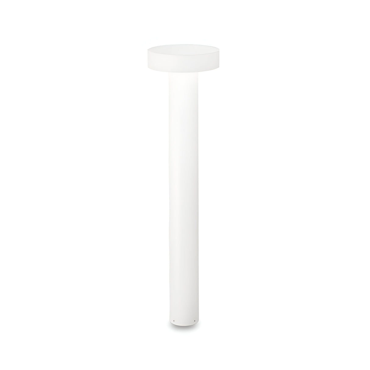 The Gloara Outdoor Bollard Light in white, standing at 80cm, features a minimalist design with a cylindrical base and flat circular top, making it ideal for illuminating contemporary gardens against a plain backdrop.