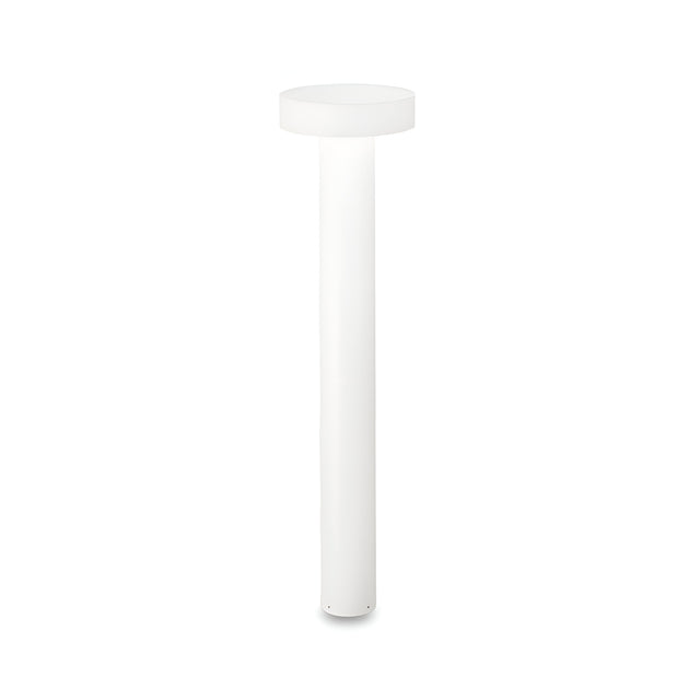 The Gloara Outdoor Bollard Light in white, standing at 80cm, features a minimalist design with a cylindrical base and flat circular top, making it ideal for illuminating contemporary gardens against a plain backdrop.
