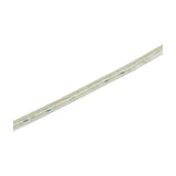 LYYT 230V IP44 LED rope light shown as a clear flexible tube with visible internal warm white LEDs and resistors, set against a white background.