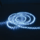 LYYT 50m LED rope light coiled and illuminated in cool white 5000K, showing the clear flexible tube with densely packed LEDs against a dark background.
