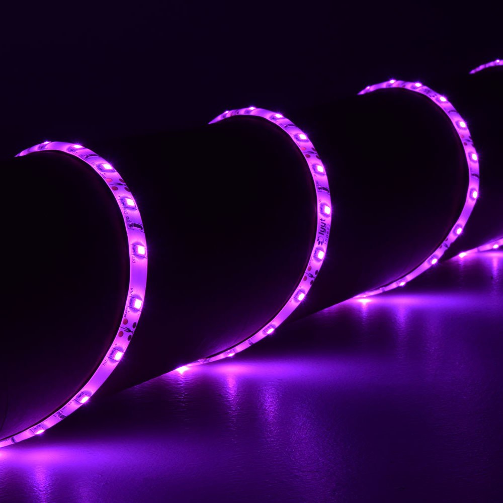 LYYT 12V 5m LED strip light kit by AVSL, IP65 silicone-coated tape illuminated in pink, coiled and glowing along a dark reflective surface.