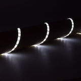 LYYT DIY-DW120 waterproof LED strip by AVSL, 5m flexible tape coiled along a dark surface and illuminated in cool white.