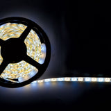 LYYT DIY-DW120 waterproof LED strip by AVSL, reel mounted on a dark wall with 5m of tape unspooled and lit in cool white across the surface.