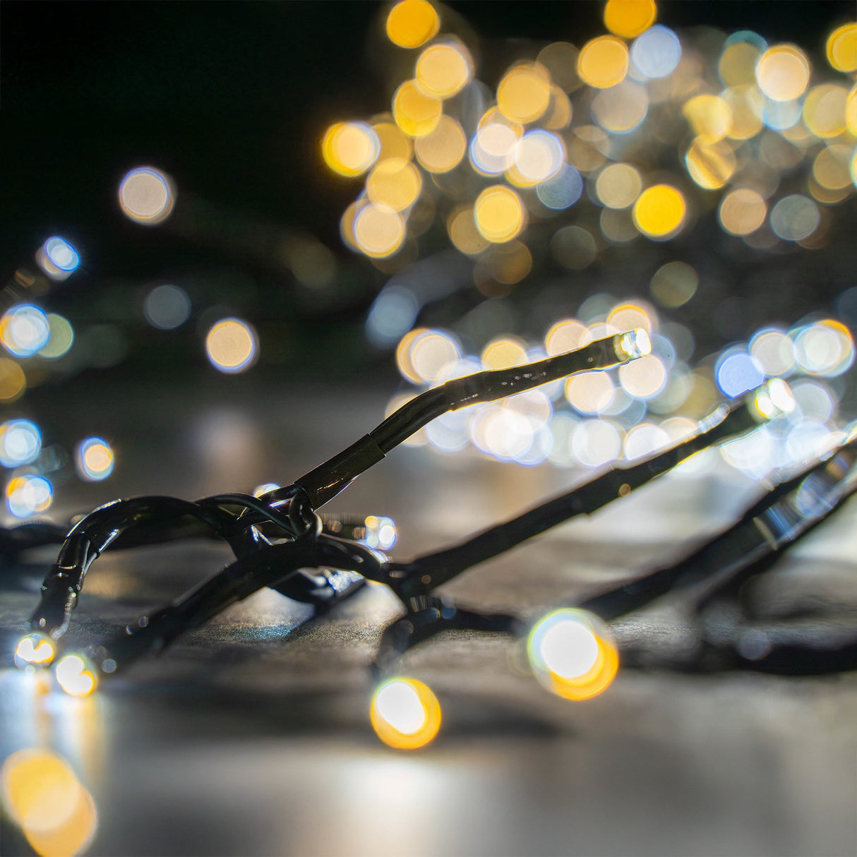 Close-up of LYYT 960 LED outdoor string lights on paving, showing dark green cable and clustered warm and cool white LEDs glowing as bokeh behind.