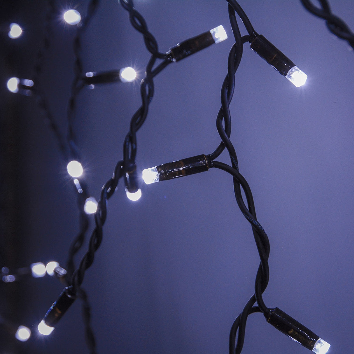 Close-up of LYYT 100CONI-CW cool white LED icicle string lights by AVSL with 5mm concave bulbs on twisted black rubber cable against a dark backdrop.
