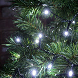 LYYT 200TS-CW cool white LED string lights by AVSL, dark green cable draped through evergreen pine foliage against a brick wall.