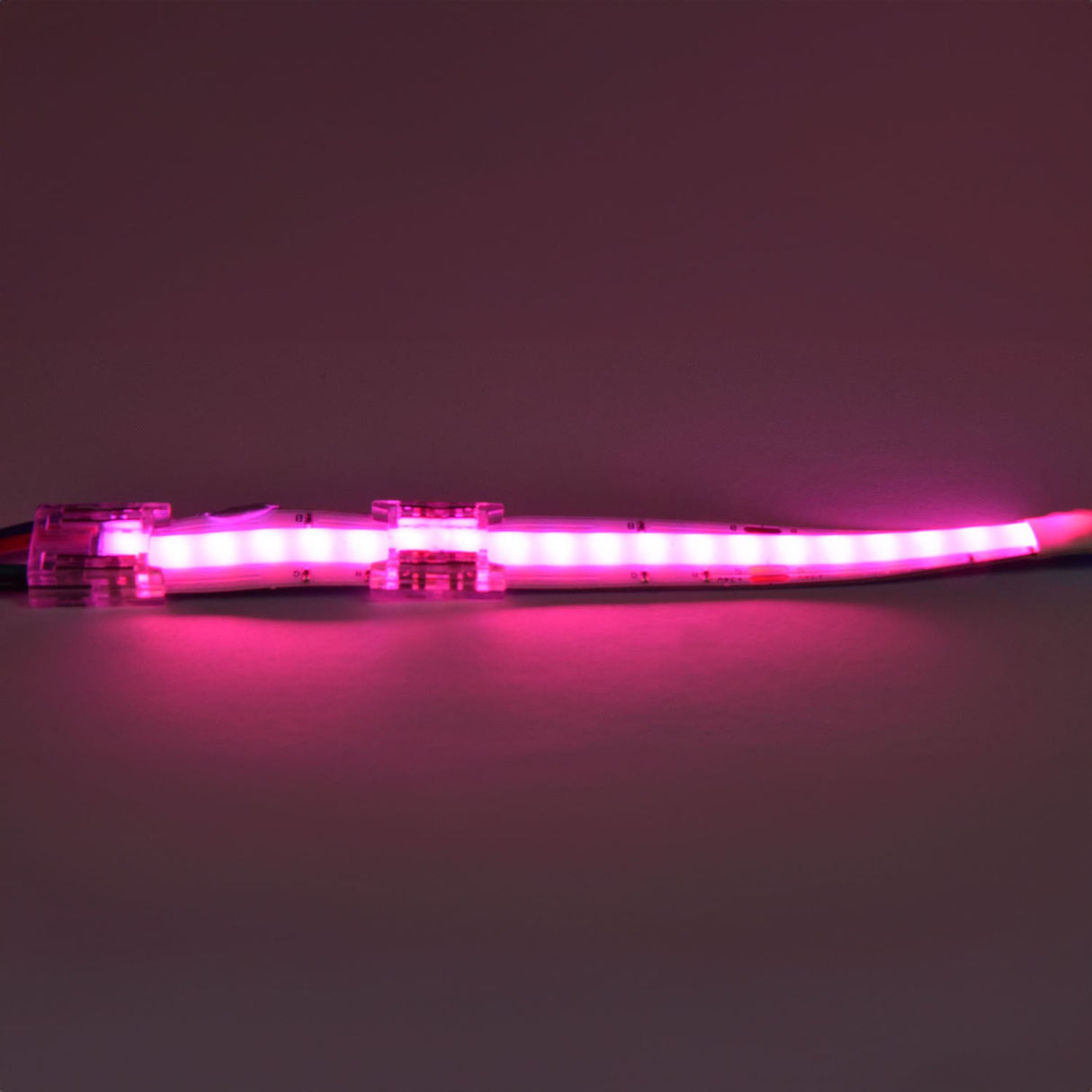 LYYT RGB COB LED strip connector joining a lit 10mm strip glowing pink, clear polycarbonate housing with crimp tabs visible on a neutral background.