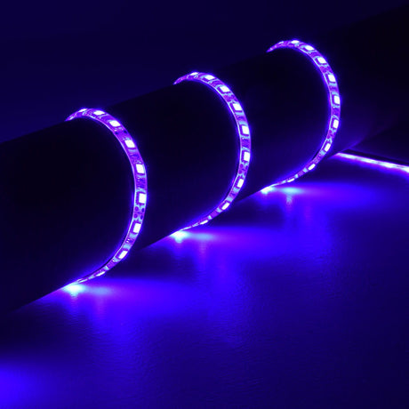 LYYT 12V UV LED strip light by AVSL coiled around a dark bar, emitting bright violet light from densely spaced SMD LEDs along the clear silicone IP65 tape.