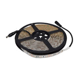 LYYT 12V UV LED strip light on a black plastic reel with DC5521 connectors, showing the 5m flexible tape with silicone IP65 coating on a white background.