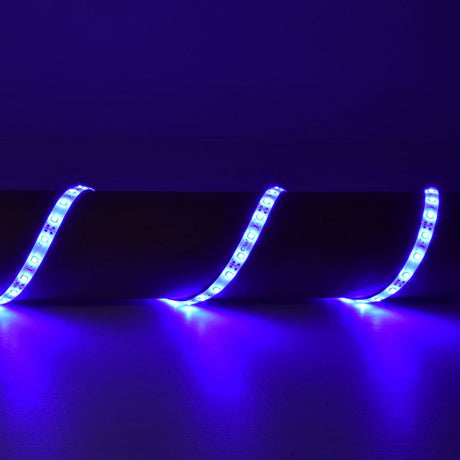 AVSL LYYT 12V LED strip light in blue, shown as a flexible 5m tape draped in curves and illuminated across a dark surface.