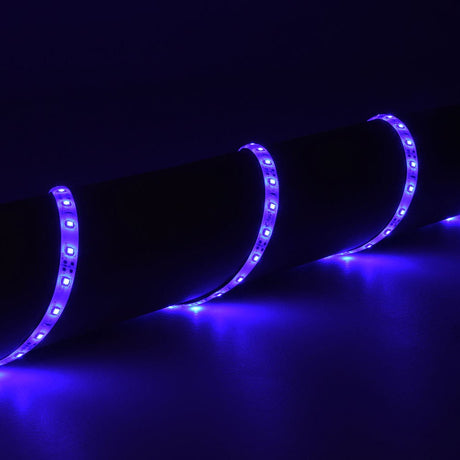 LYYT 12V LED Strip Light 5m by AVSL, flexible blue LED tape curved across a dark surface, showing evenly spaced illuminated SMDs with IP65 silicone coating.