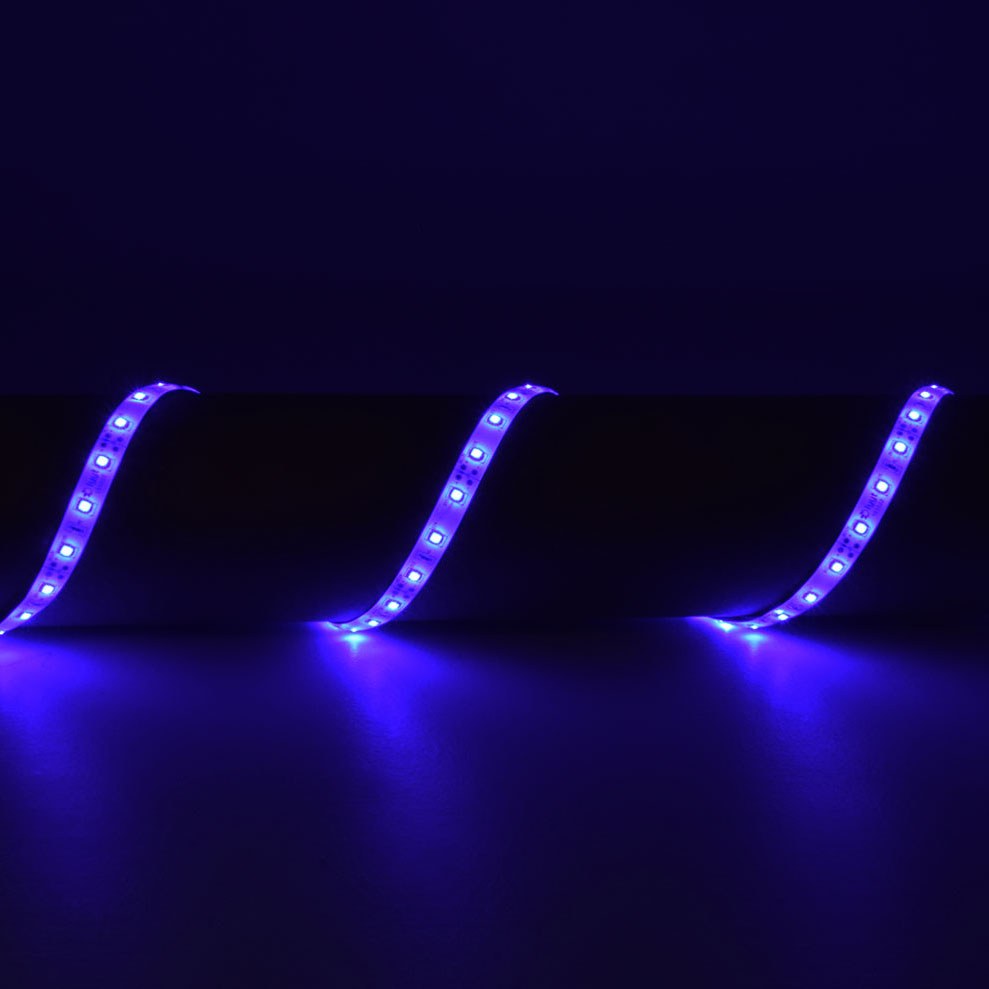AVSL LYYT 12V LED strip light shown in three illuminated sections emitting vivid blue light against a dark surface, part of the 5m flexible LED tape reel.
