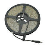 LYYT 12V amber LED strip light on a black plastic reel with attached DC connector lead, shown on a plain white background.