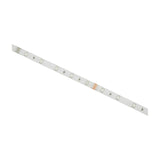 LYYT 24V RGB LED strip light section by AVSL, showing IP65 epoxy-coated flexible tape with evenly spaced RGB5050 LEDs and a cut point, on a white background.