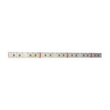 LYYT 24V RGBW LED strip light showing SMD5050 LEDs with red, green, blue, and white diodes along a flexible PCB with cut markers, on a white background.