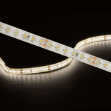 LYYT LT245120-NW natural white IP65 LED strip by AVSL, shown illuminated and coiled with visible SMD LEDs and cut marks against a black background.