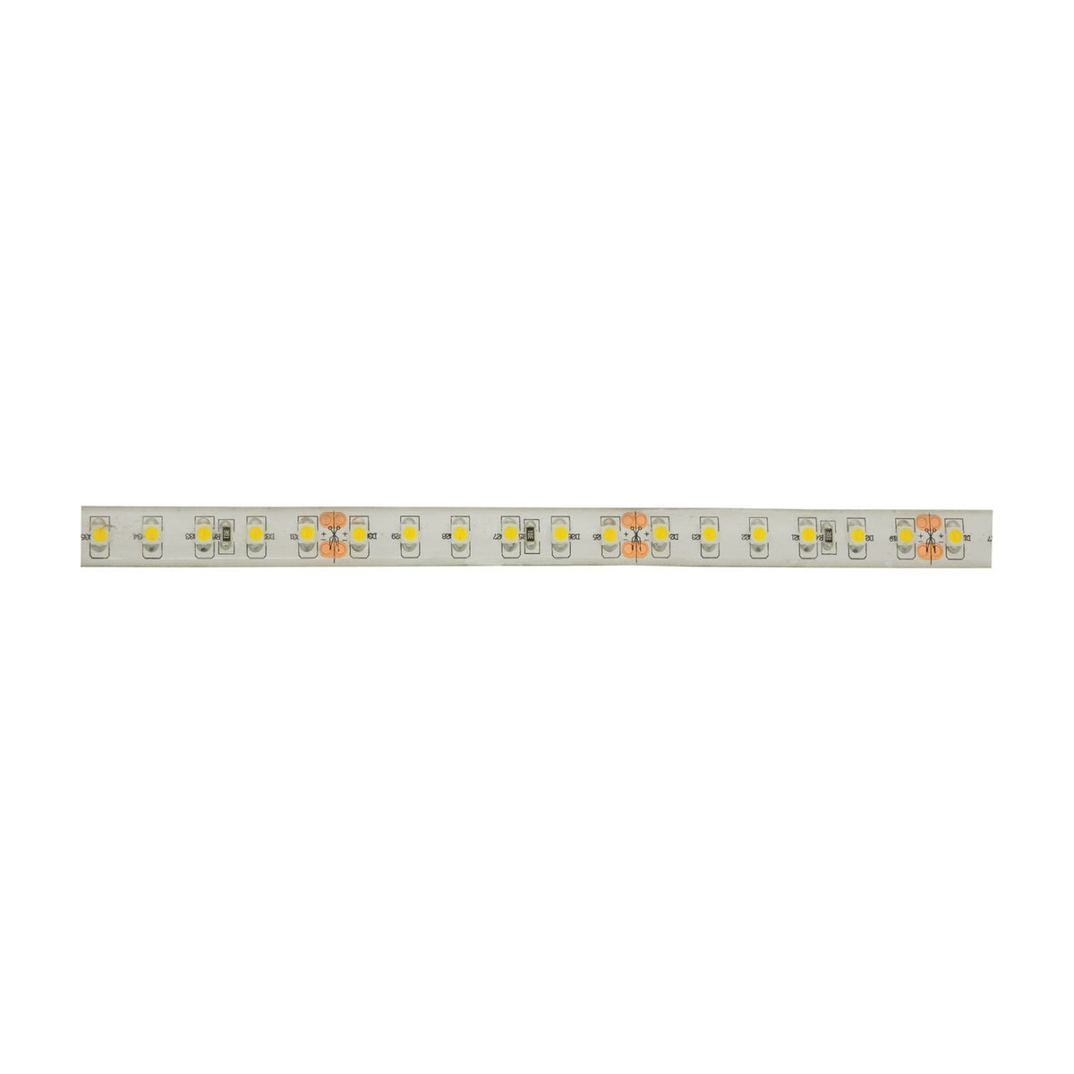LYYT LT245120-NW natural white IP65 LED strip section showing evenly spaced SMD LEDs under clear silicone coating on a white background.