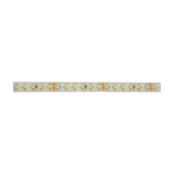 LYYT LT245120-NW natural white IP65 LED strip section showing evenly spaced SMD LEDs under clear silicone coating on a white background.