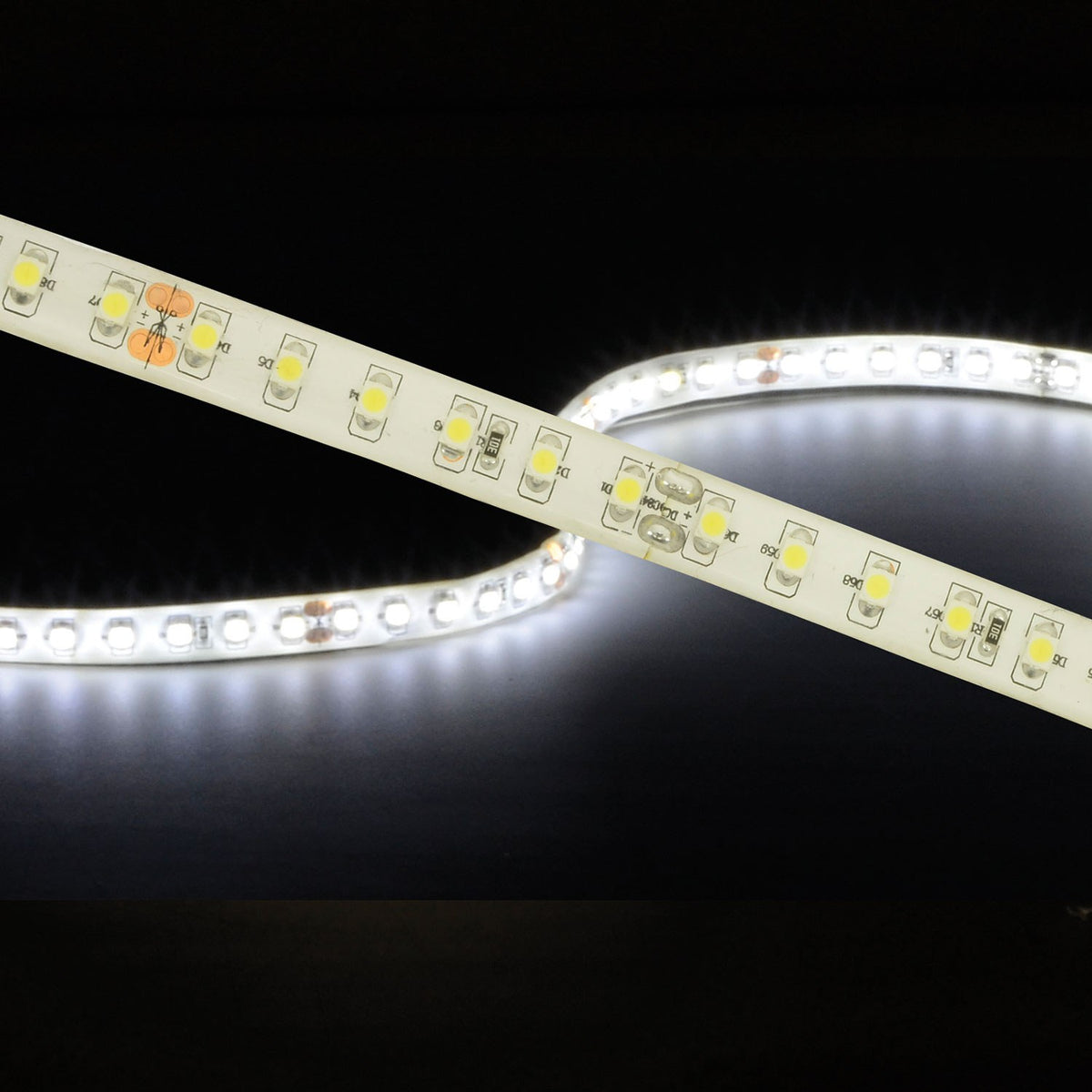 LYYT 24V high output LED strip light coiled and illuminated in cool white 6000K, showing IP65 epoxy coating and densely spaced SMD LEDs.