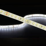 LYYT 24V high output LED strip light coiled and illuminated in cool white 6000K, showing IP65 epoxy coating and densely spaced SMD LEDs.