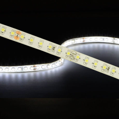 LYYT 24V high output LED strip light coiled and illuminated in cool white 6000K, showing IP65 epoxy coating and densely spaced SMD LEDs.