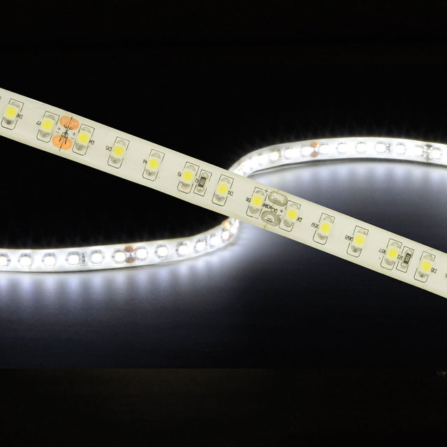 LYYT 24V high output LED strip light coiled and illuminated in cool white 6000K, showing IP65 epoxy coating and densely spaced SMD LEDs.